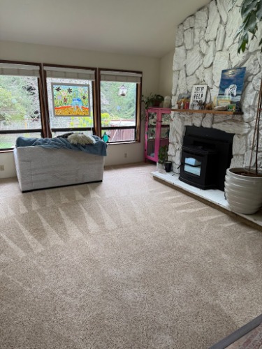 Image for A-1 Cleaning Service with ID of: 7201846