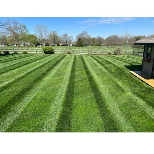 Image for Forward Motion Outdoor Services with ID of: 7202723