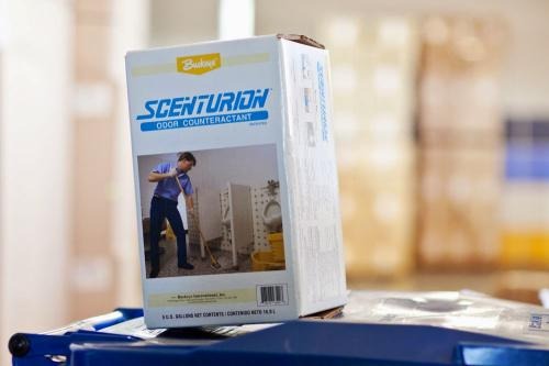 Image for Buckeye Cleaning Centers with ID of: 7202862