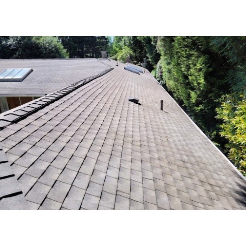 Image for Top Star Roofing Inc with ID of: 7204241