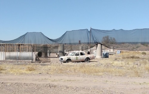 Image for Scarizona Scaregrounds with ID of: 7205198