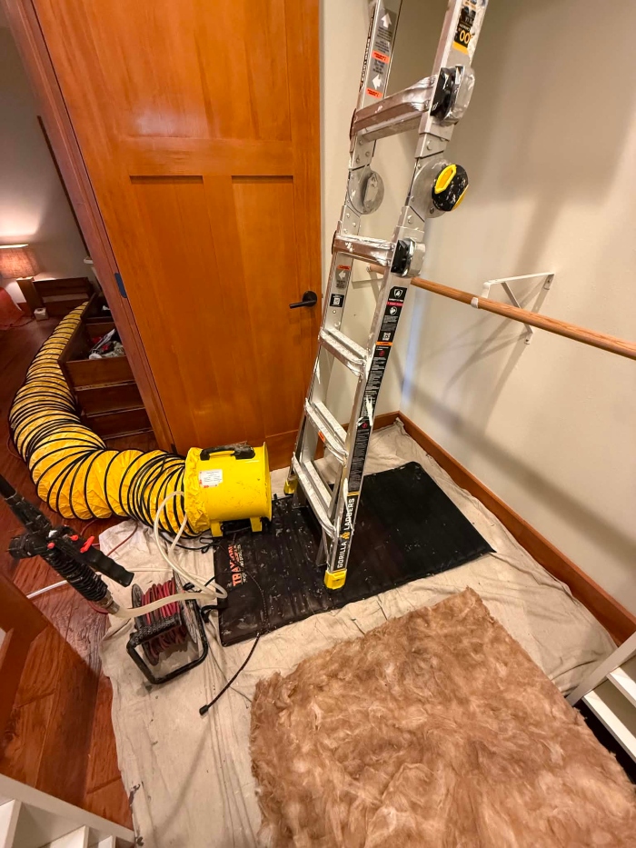 Image for Eugene Mold Pros with ID of: 7206794