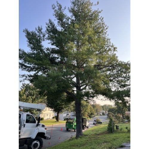 Image for Giebner Environmental with ID of: 7210124
