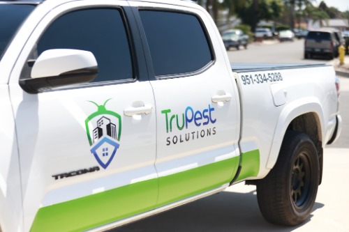 Image for TruPest Solutions with ID of: 7211247