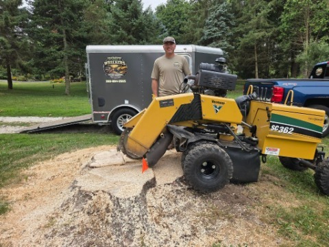 Image for Root Wreckers Stump Grinding LLC with ID of: 7211717