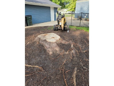 Image for Root Wreckers Stump Grinding LLC with ID of: 7211719
