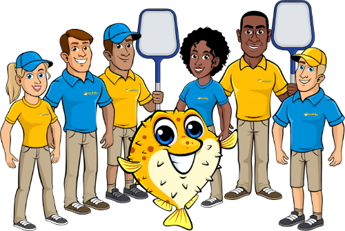 Image for Puddle Pool Services with ID of: 7212462