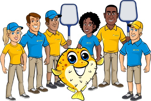 Image for Puddle Pool Services with ID of: 7212576