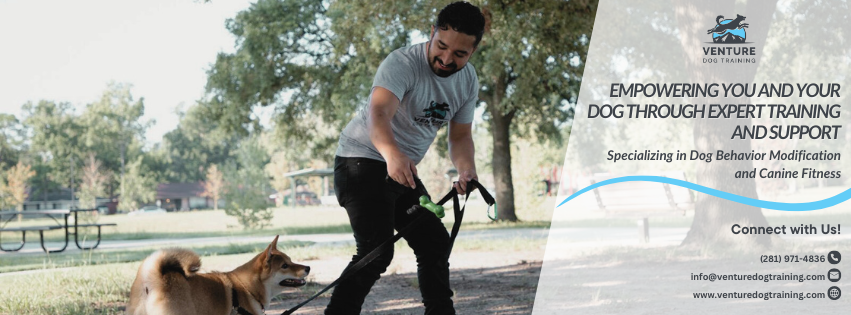 Image for Venture Dog Training Austin with ID of: 7212597