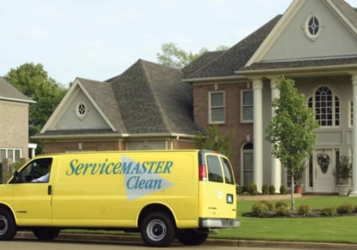 Image for ServiceMaster Albino with ID of: 7213168