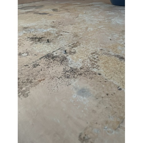Image for Highwater Restoration with ID of: 7213505
