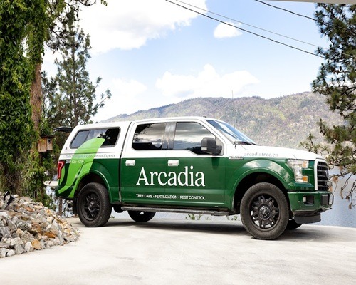 Image for Arcadia Pest Control with ID of: 7214711