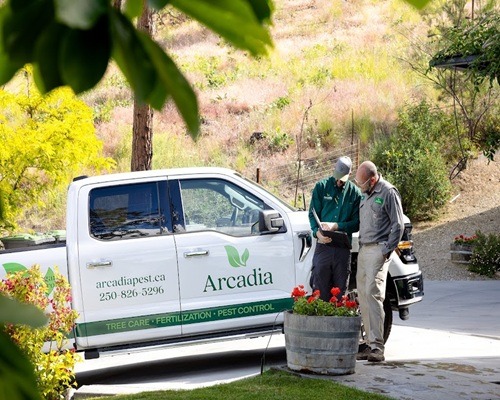 Image for Arcadia Pest Control with ID of: 7214712