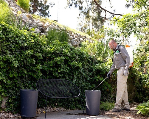 Image for Arcadia Pest Control with ID of: 7214713