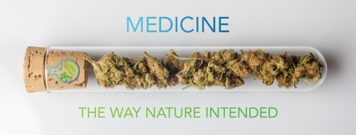 Image for Seed of Life Labs with ID of: 7215488