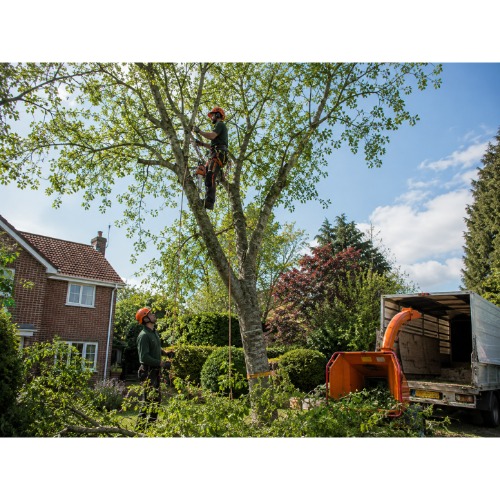 Image for Hassocks Tree Services with ID of: 7215605