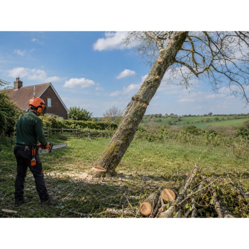 Image for Hassocks Tree Services with ID of: 7215609
