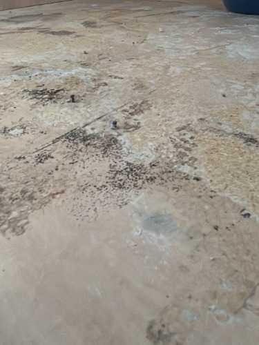 Image for Highwater Restoration with ID of: 7216622