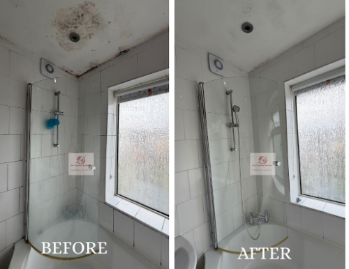 Image for Ary Cleaning Services with ID of: 7216809