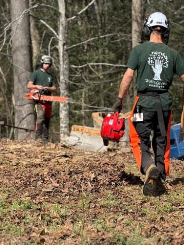 Image for White Glove Arborists with ID of: 7216943
