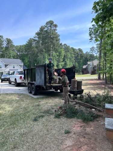 Image for White Glove Arborists with ID of: 7216945