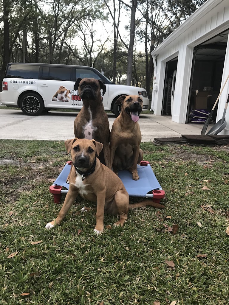 Image for Sit Happens Dog Training Denver LLC with ID of: 7217144