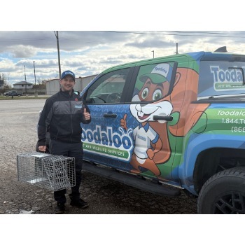 Image for Toodaloo Pest Control with ID of: 7217516