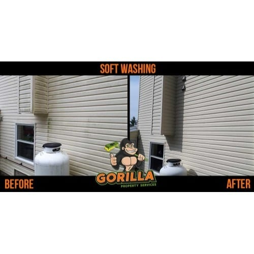 Image for Gorilla Property Services with ID of: 7218204
