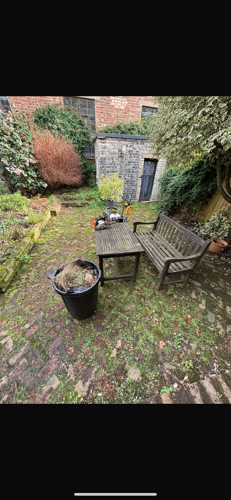 Image for B & V Tree & Landscape Services with ID of: 7218363