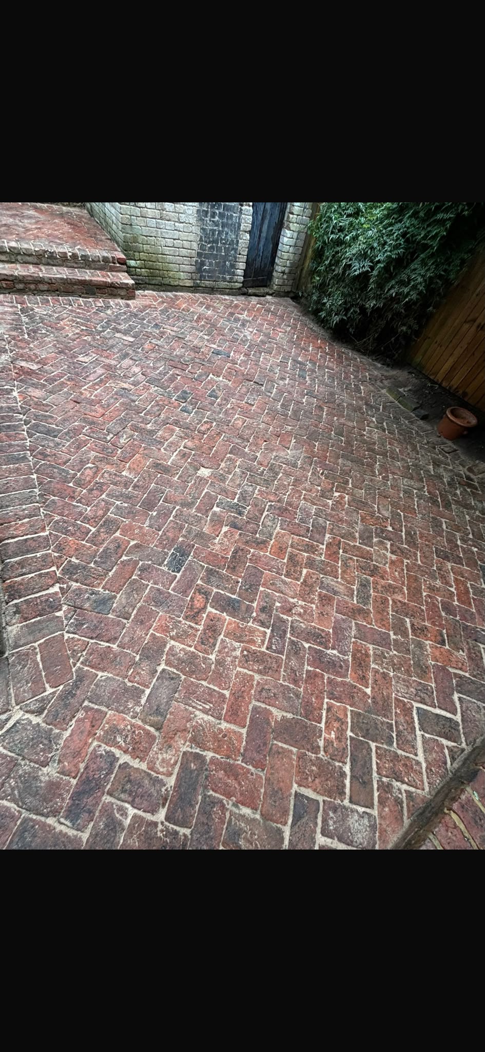 Image for B & V Tree & Landscape Services with ID of: 7218364