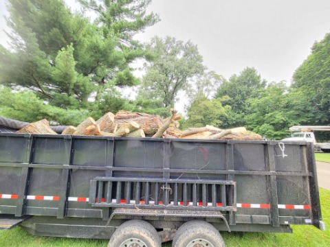 Image for Eager Beaver Tree Service with ID of: 7218433