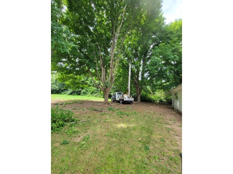 Image for Eager Beaver Tree Service with ID of: 7218445