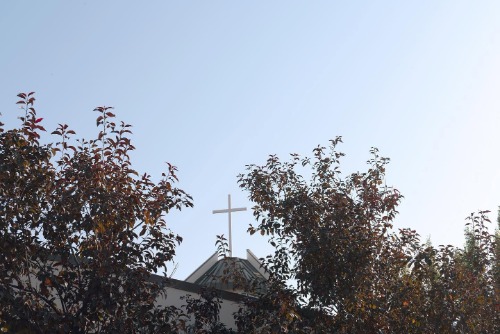 Image for Brentview Church with ID of: 7218536