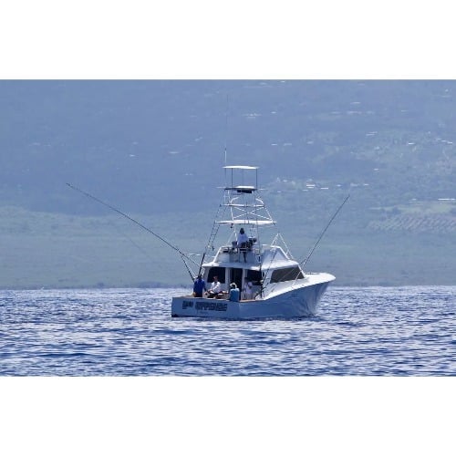 Image for 2nd Offense Sportfishing with ID of: 7219423