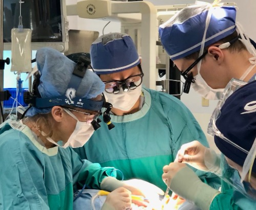 Image for Dr Benjamin Chan with ID of: 7219807