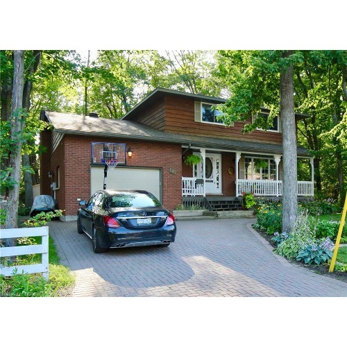 Image for The Andre Purcell Team with ID of: 7221507