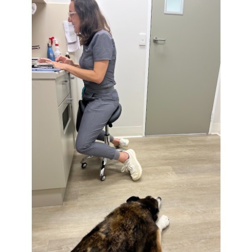Image for Pack & Clowder Vets with ID of: 7233898