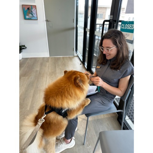 Image for Pack & Clowder Vets with ID of: 7233901