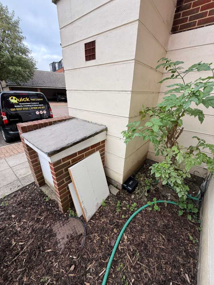 Image for Quick Pest Control with ID of: 7235206