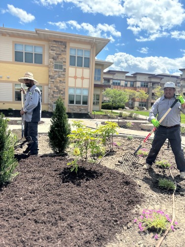 Image for Brilliant Borders Landscaping with ID of: 7235970