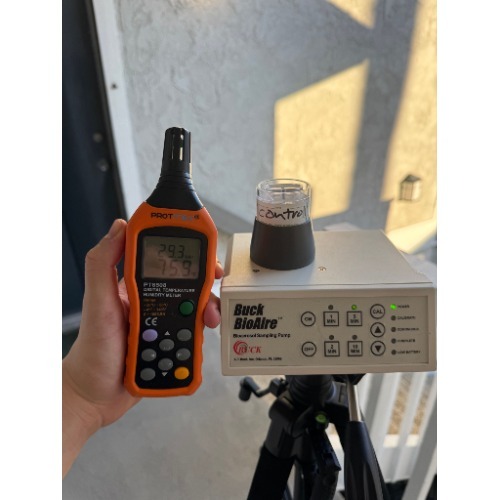 Image for Mold Inspection Compton with ID of: 7239422