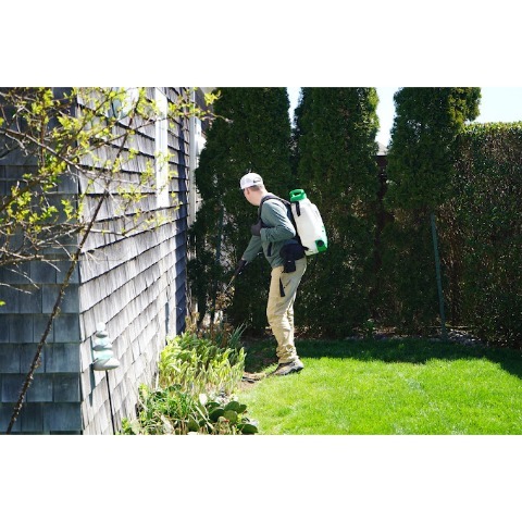 Image for Debug Pest Control - Rhode Island with ID of: 7241656