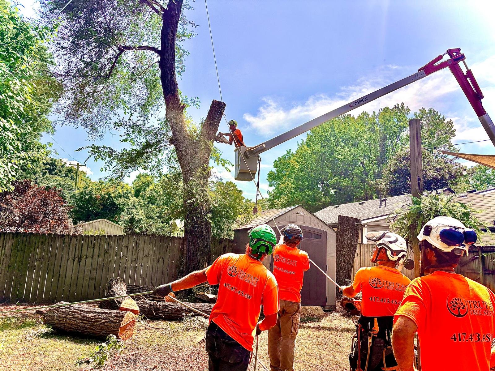 Image for Trufast Tree Service, LLC with ID of: 7257036