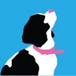 Image for Windy City Paws with ID of: 7002587