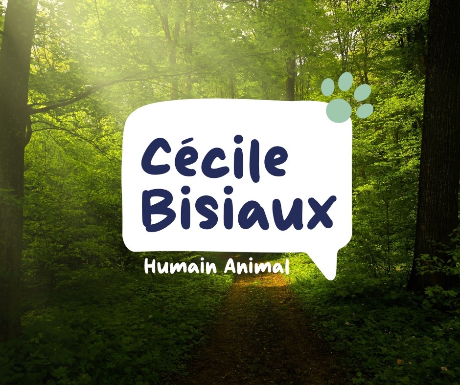 Image for Cécile Bisiaux Naturo-Energéticienne, Reiki et Communication animale with ID of: 7005150