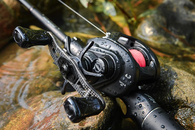 Image for Stop Losing Fish Mid-Fight: Choosing the Right Fishing Reel and Understanding Baitcasting Reels (2026 Guide) with ID of: 7005723