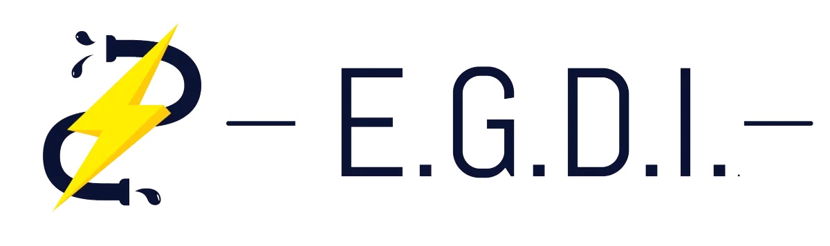 Image for E.G.D.I. srl with ID of: 7010481