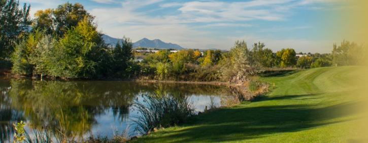 Image for Applewood Golf Course with ID of: 701219