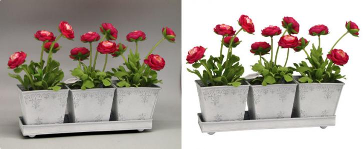 Image for Best Clipping path service with ID of: 701614