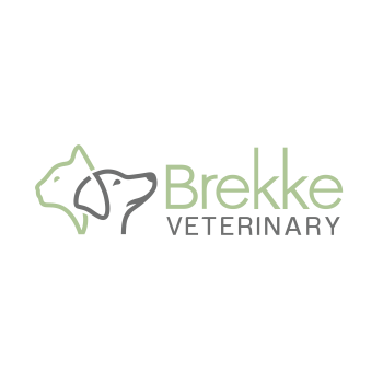 Image for Brekke Veterinary Clinic with ID of: 7017223